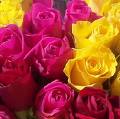pour vous